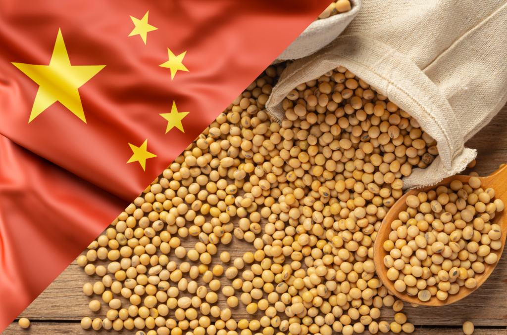 China: Importaciones de soja alcanzan su nivel más bajo en 5 años ...